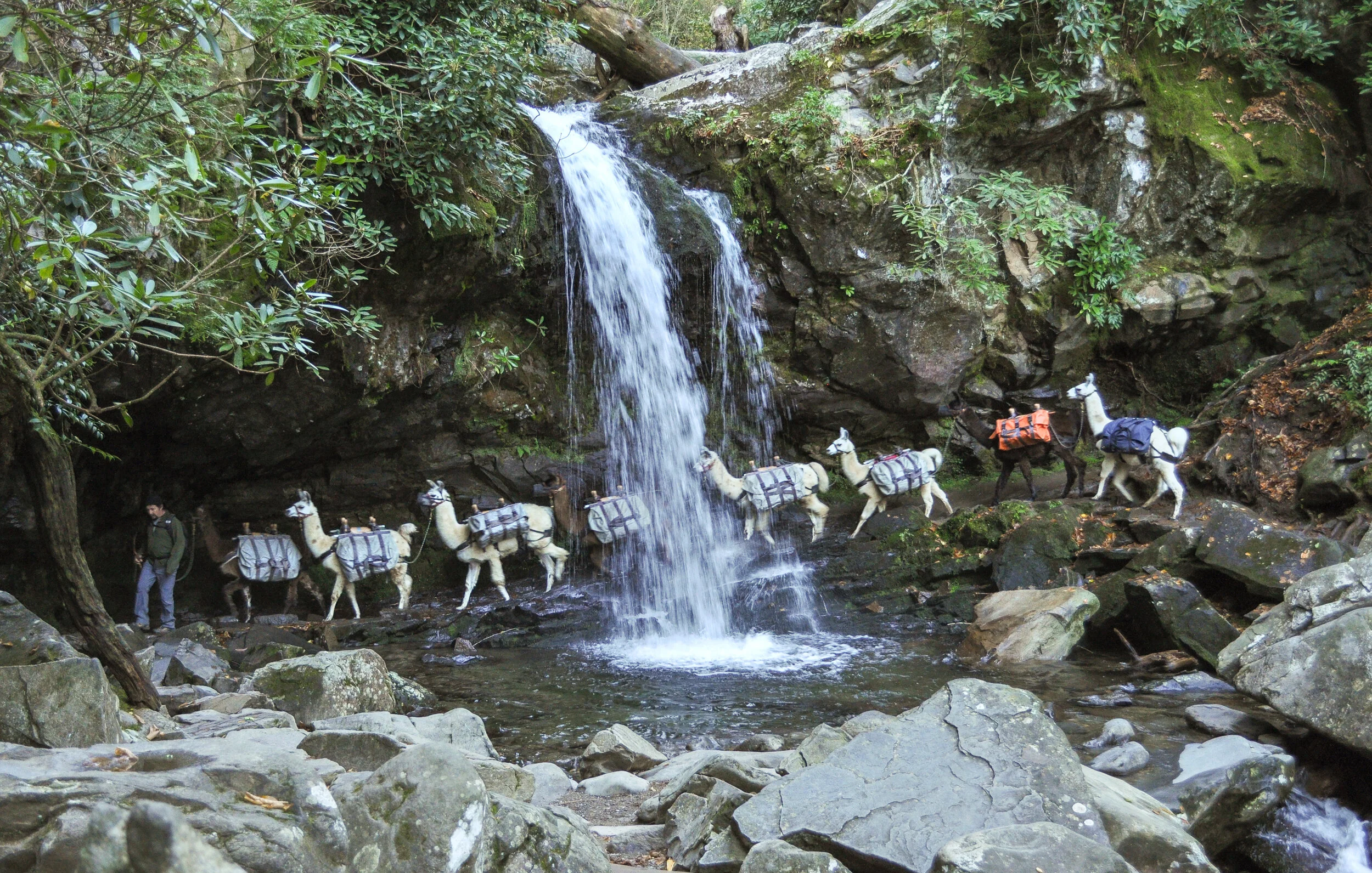 Grotto Falls waterfall with trail passing behind it